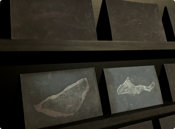 installations de l'oeuvre SCIENCE-FICTION POSTCARDS de Stéphanie Roland à l'exposition Capture #2 au pavillon - impressions termochimiques sur carton.